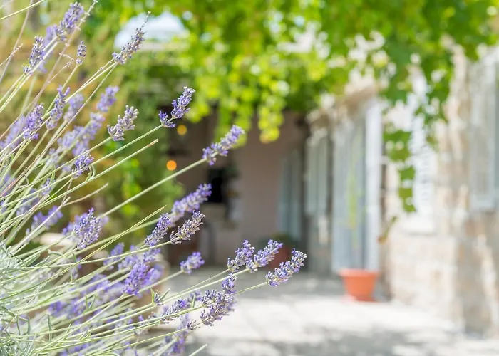 Appartement Midsummer Night's Dream